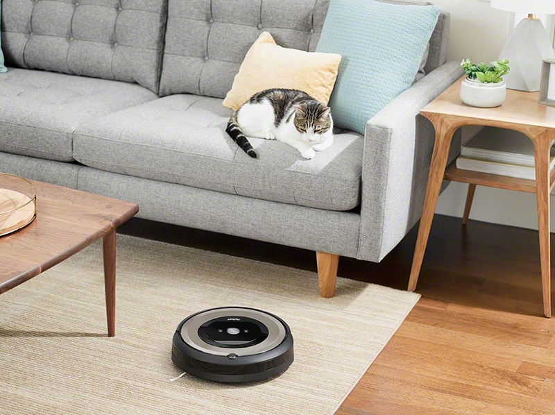 e6 sanddust photo lifestyle livingroom cat